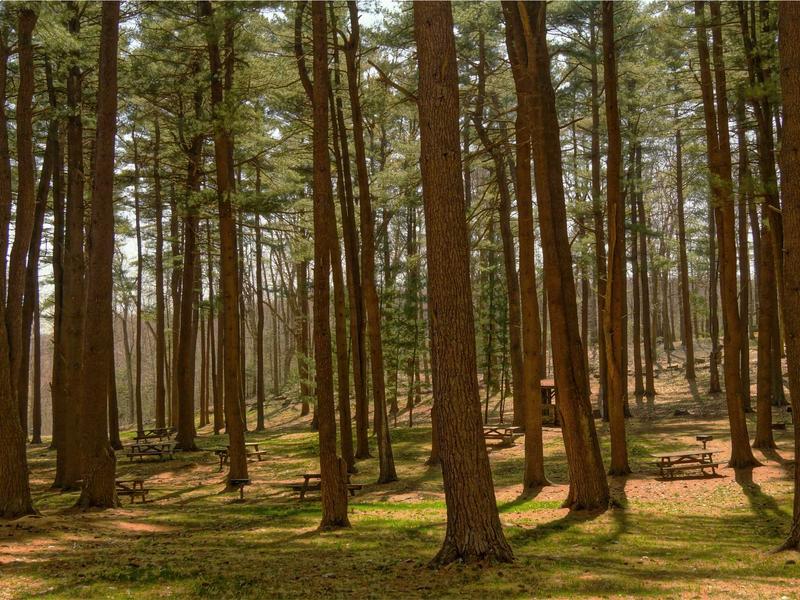 sudoku scanning technique screenshot 2