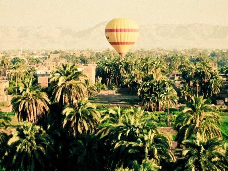 sudoku scanning technique screenshot 6